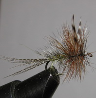 ���� ����� Dry fly  Quill DFQ 10 